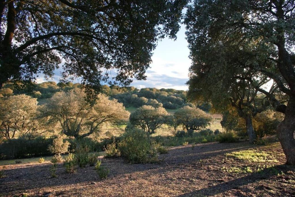 Casa Rural Finca Requejo Cerca De Benavente Tr 49426 Manganeses de la Polvorosa Buitenkant foto